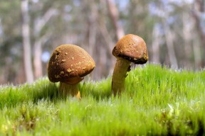 世界举重锦标赛观赛指南发布，世界举重锦标赛视频